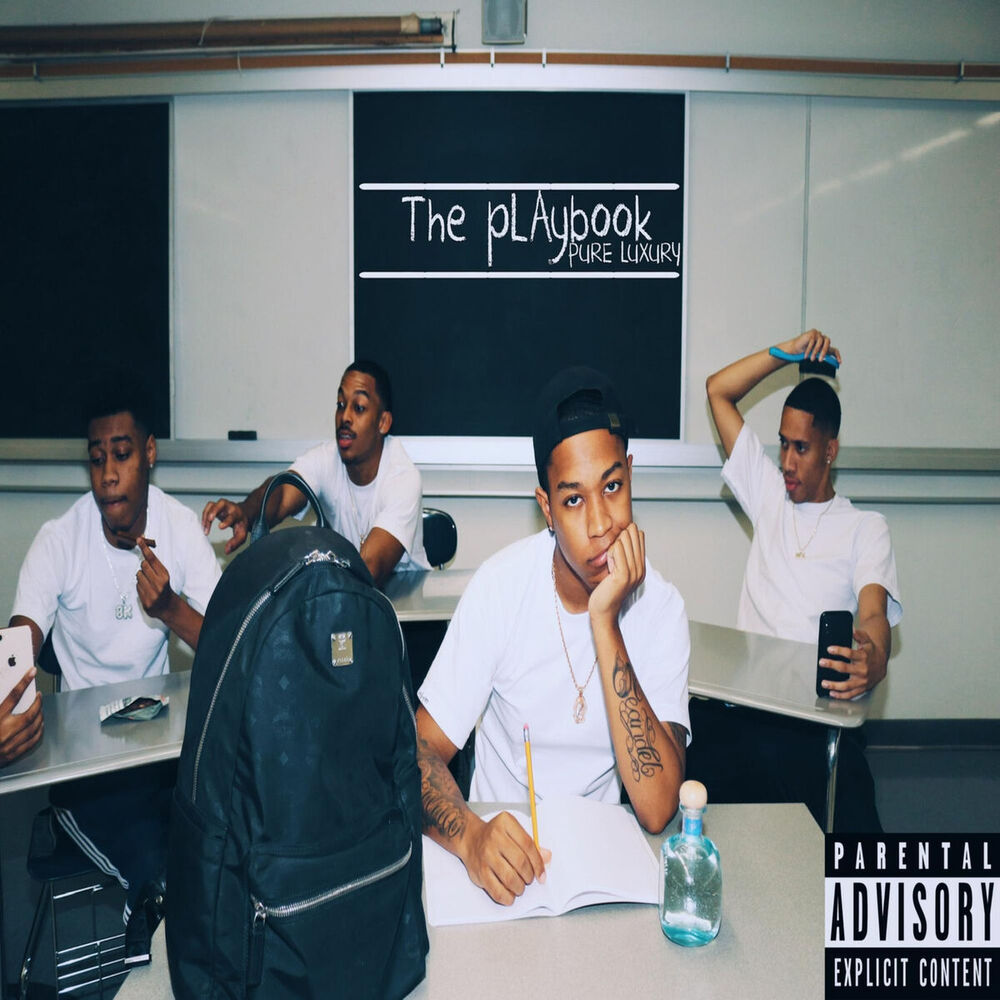 Picture of The pLAy Book