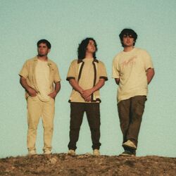 Cover of sunset silhouette