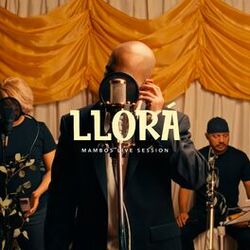 Cover of Llorá - Mambos Live Session (Live)