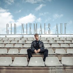 Cover of Gib niemals auf