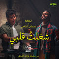 شغلت قلبي