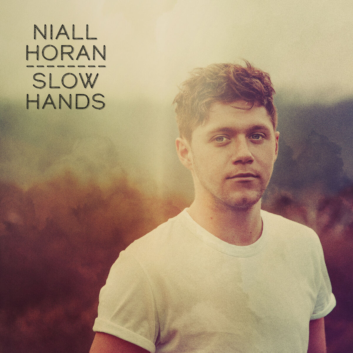 Album cover of Slow Hands