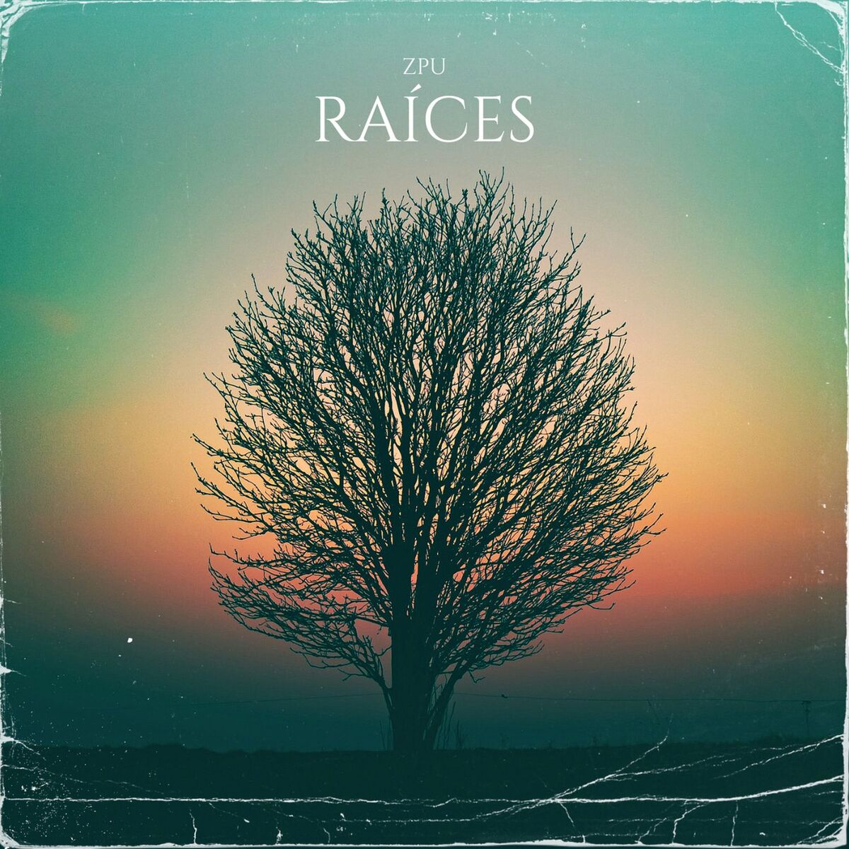 Album cover of Raíces
