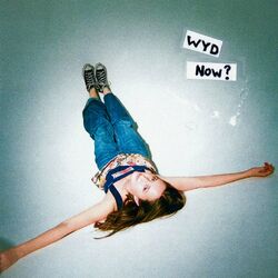 Cover of WYD Now?