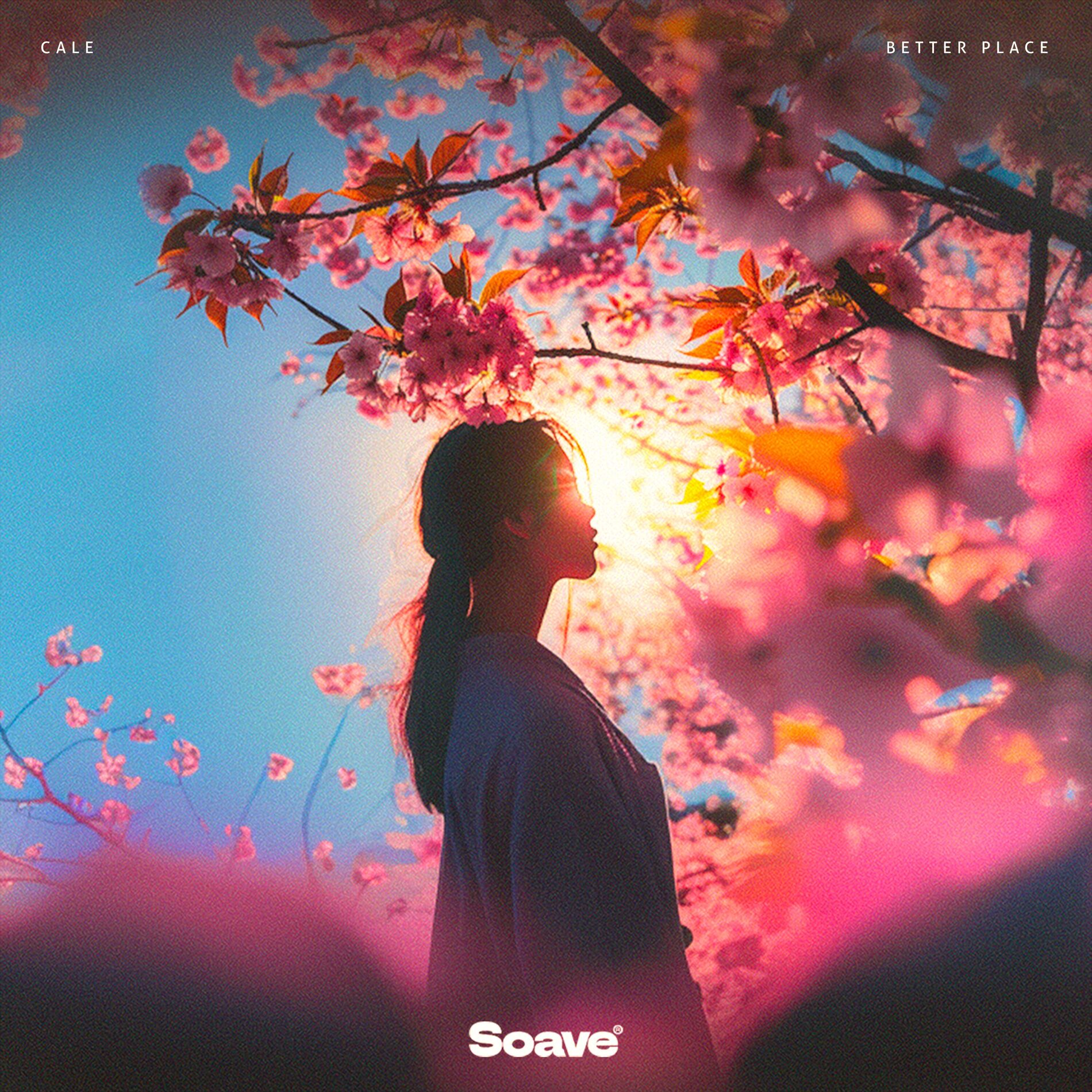 Album cover of Better Place