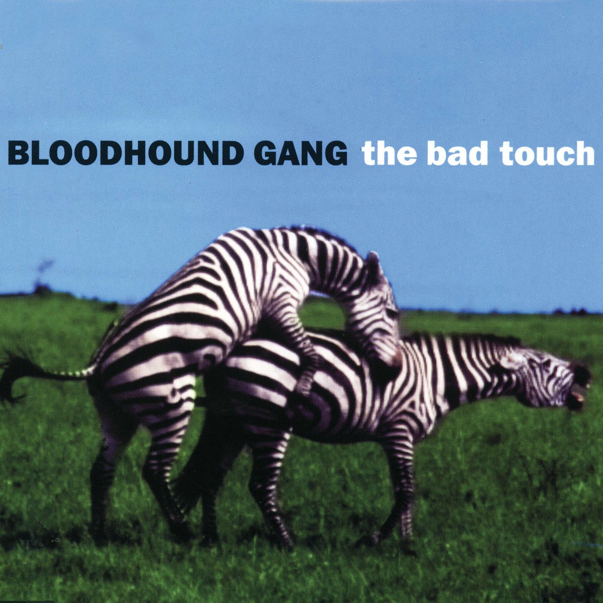洋楽 The Bloodhound Gang Bloodhound Gang | The Bad Touch (Remixes) | CD (Maxi-Single