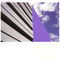 Freeze (Labradford Mix) by LFO album cover