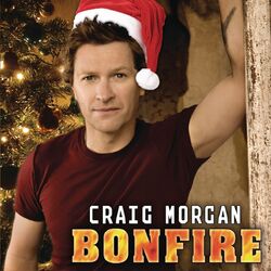 Cover of Bonfire