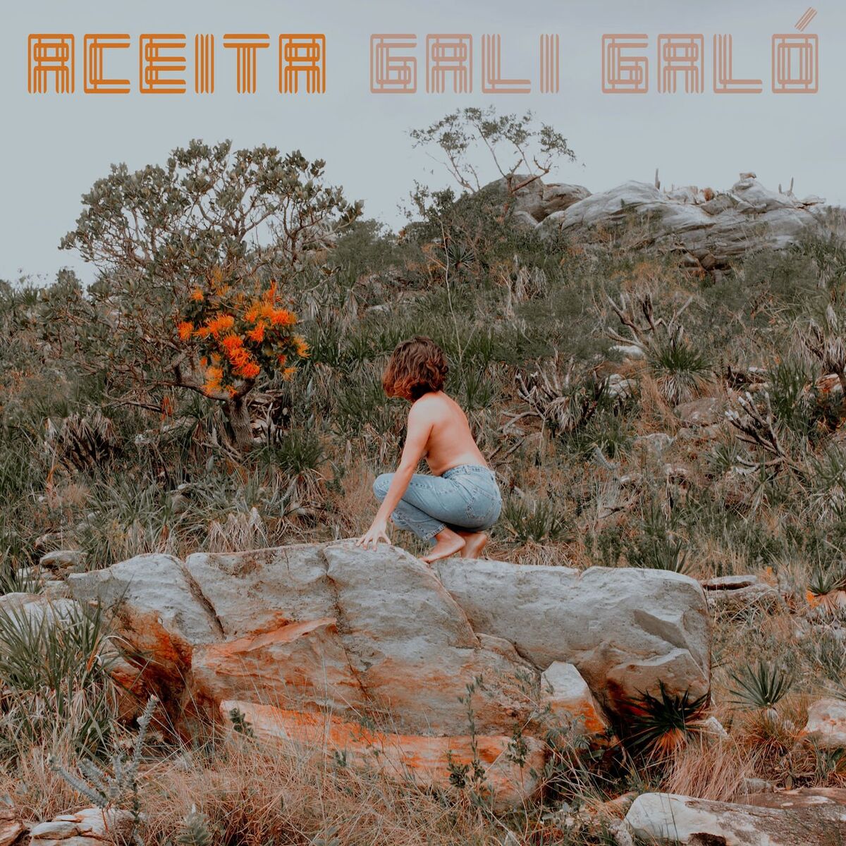 Album cover of Aceita