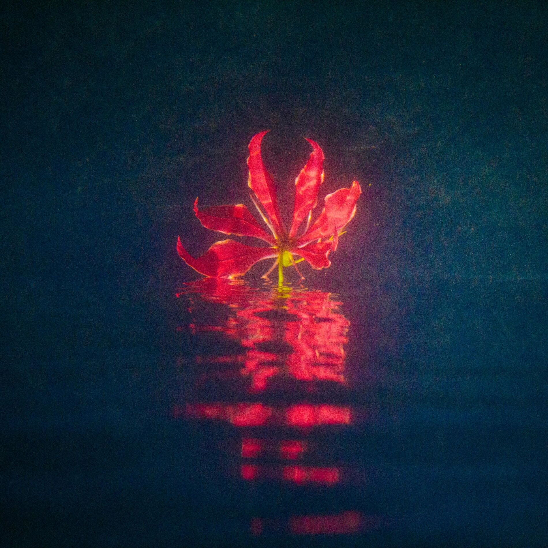 Album cover of Since Then