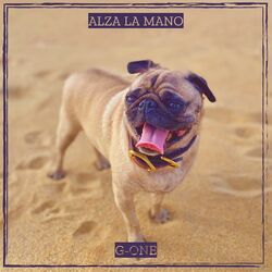 Cover of Alza La Mano