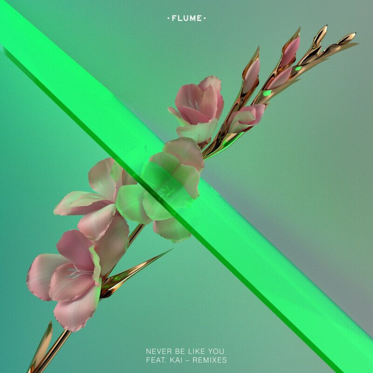 Album cover of Never Be Like You
