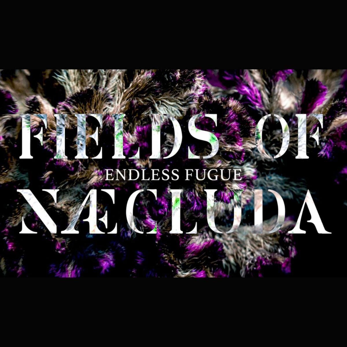 Album cover of Endless Fugue