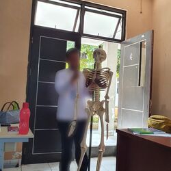 Cover of tulang rusuk gw dicabut dan organ gw ditarik perlahan - lahan (Live)