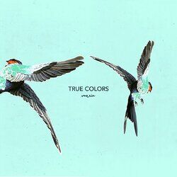 music cover