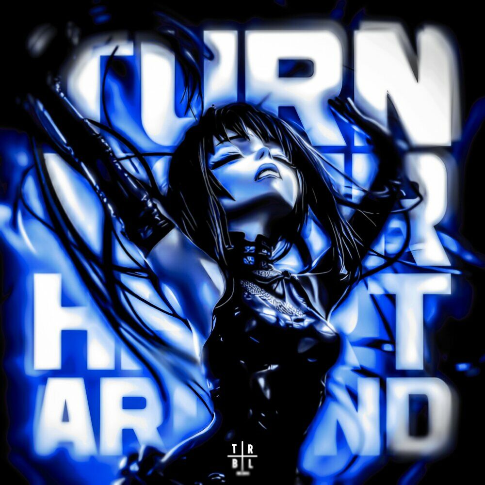 Picture of TURN YOUR HEART AROUND