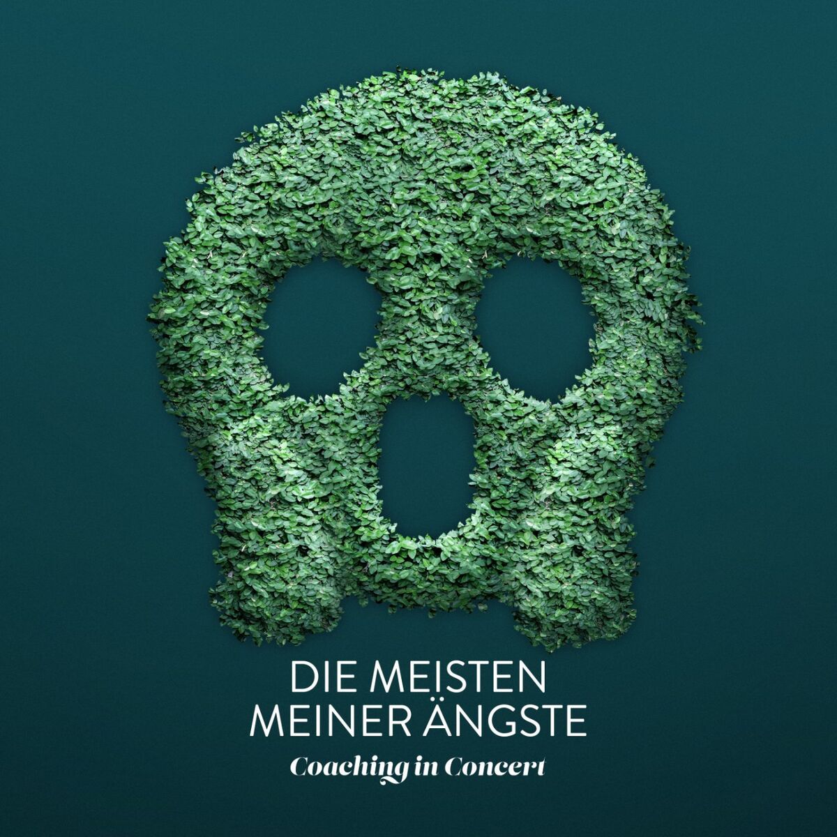 Album cover of Die meisten meiner Ängste (Live)