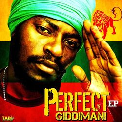 Cover of Perfect EP