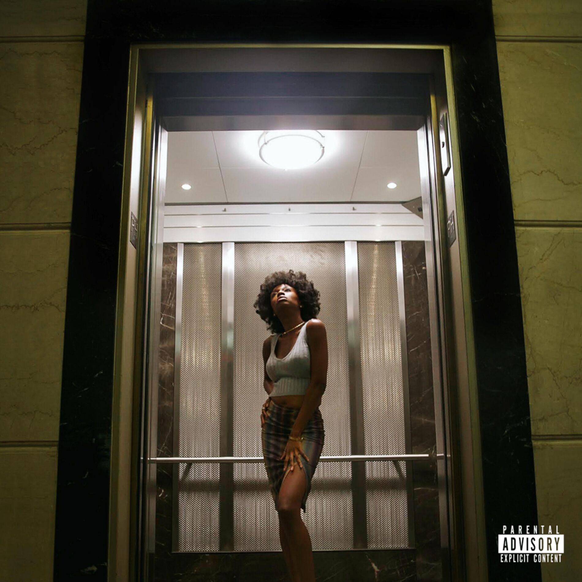 Album cover of Pregnant with Success