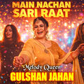 Mein Nachan Sari Raat