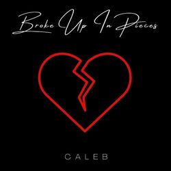 Cover of Broke Up In Pieces