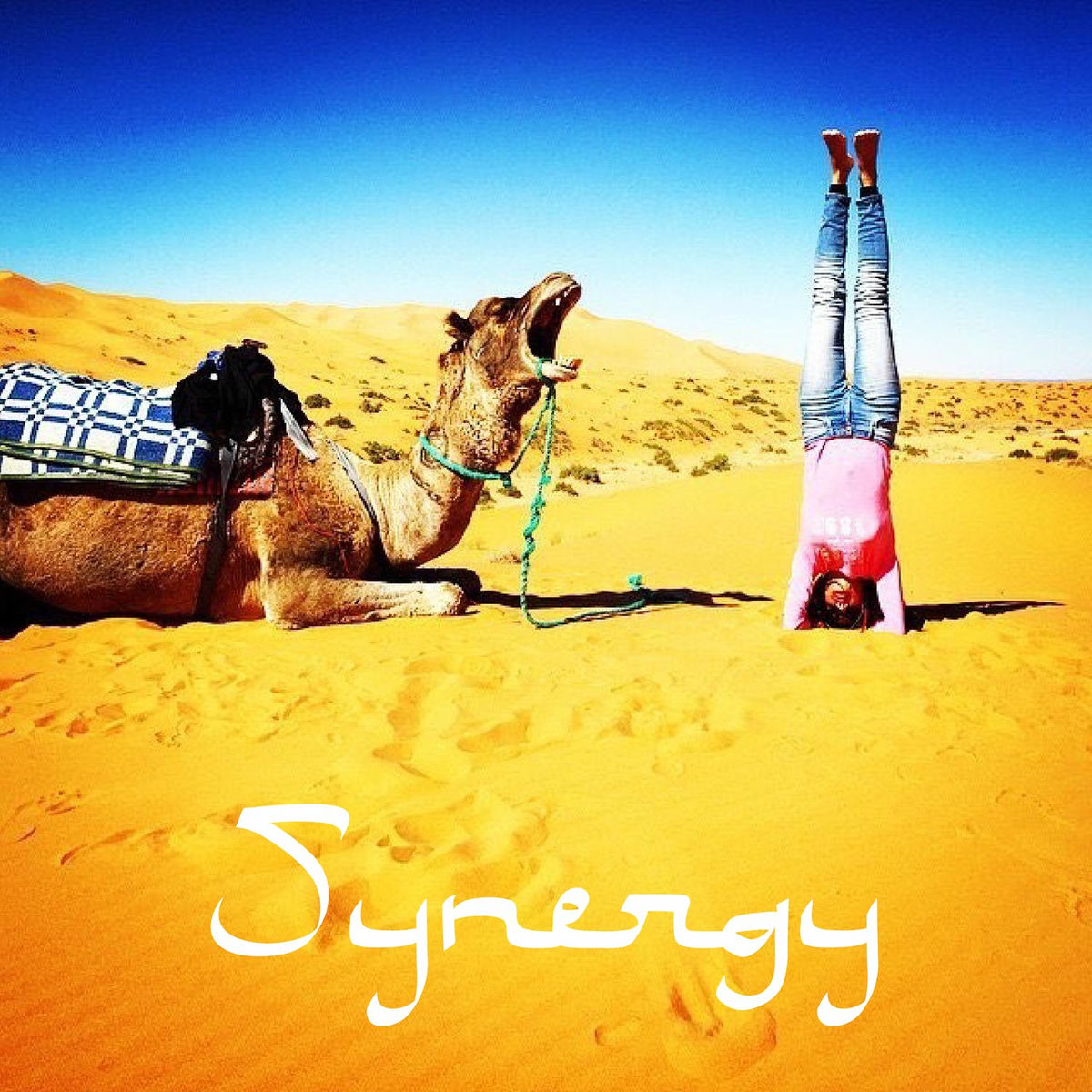 Album cover of Synergy