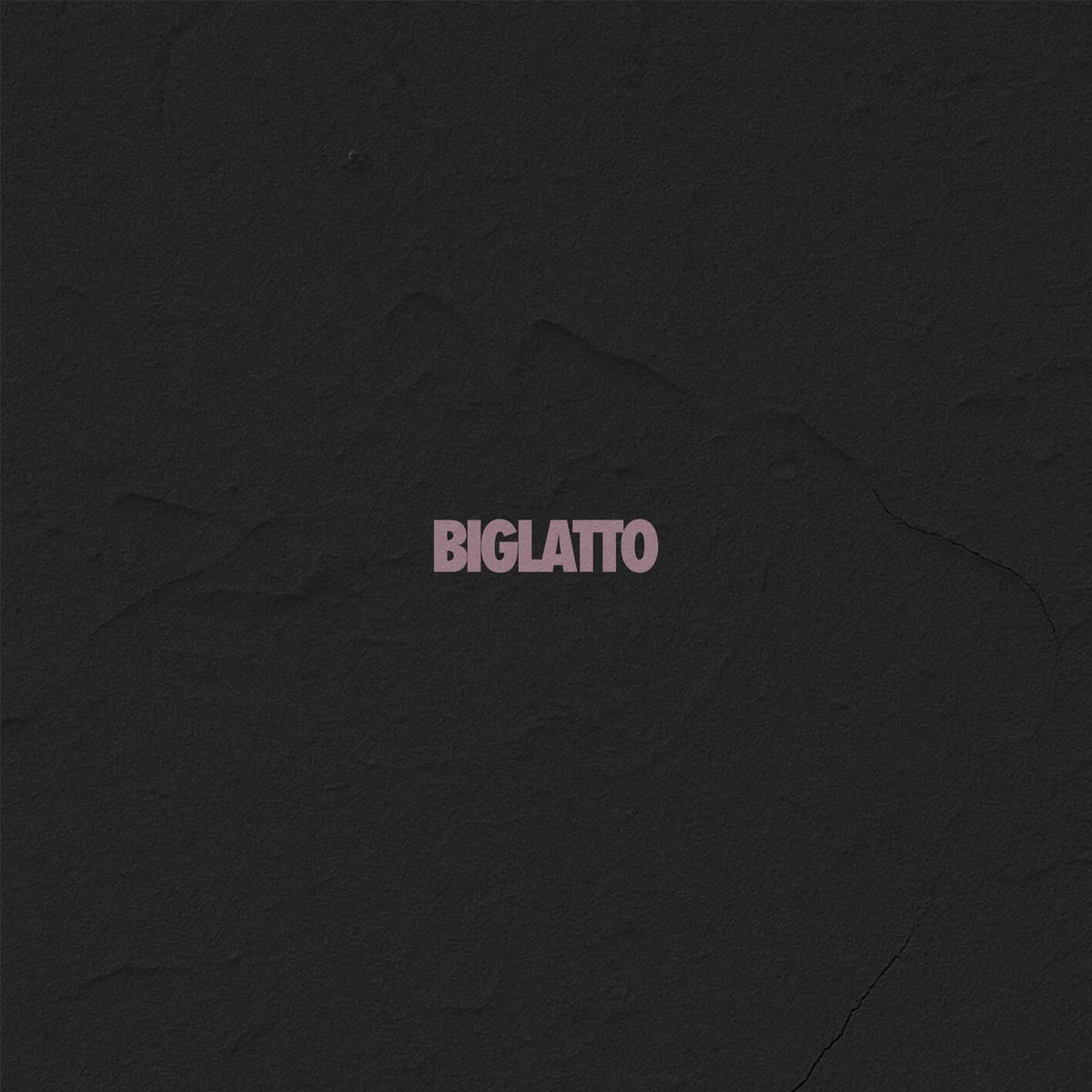 Album cover of BIGLATTO