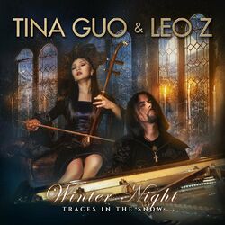 Cover of Winter Night: Traces in the Snow