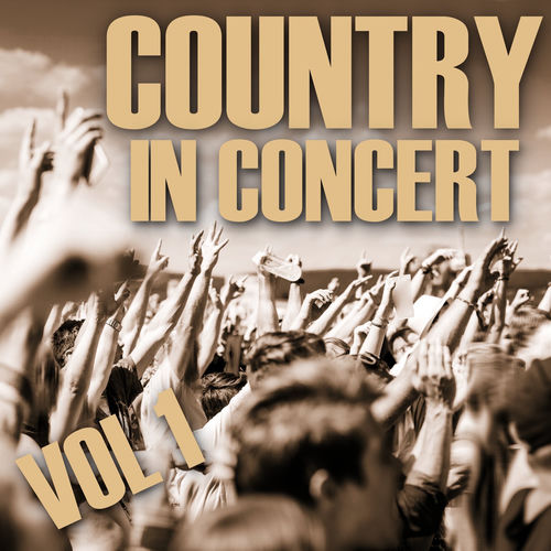 Drunk On A Plane - Live From NYC by Dierks Bentley - 206 BPM