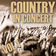 All I Want To Do (Live in Lexington, KY) by Sugarland album cover