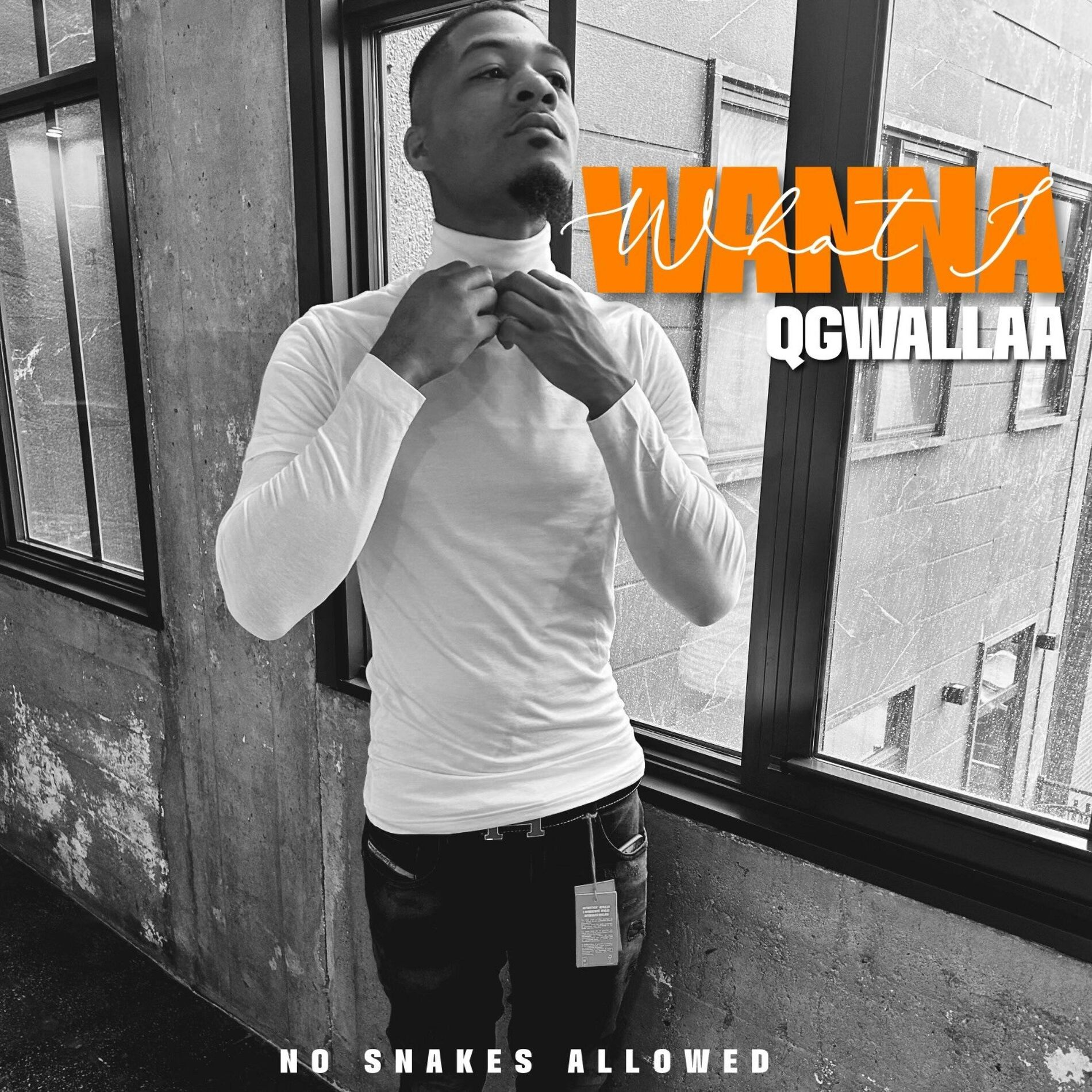 Album cover of What I Wanna
