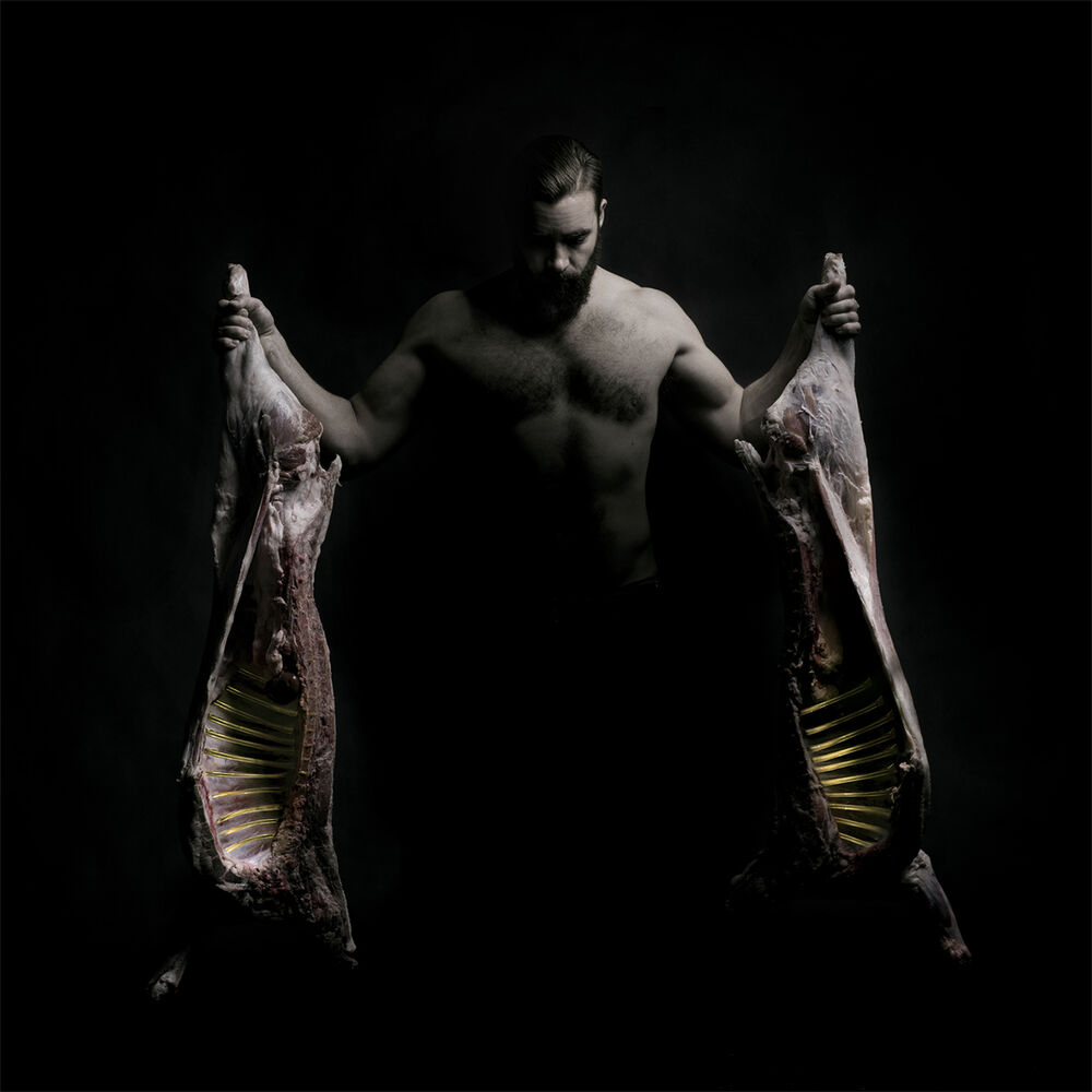 Picture of Dyr
