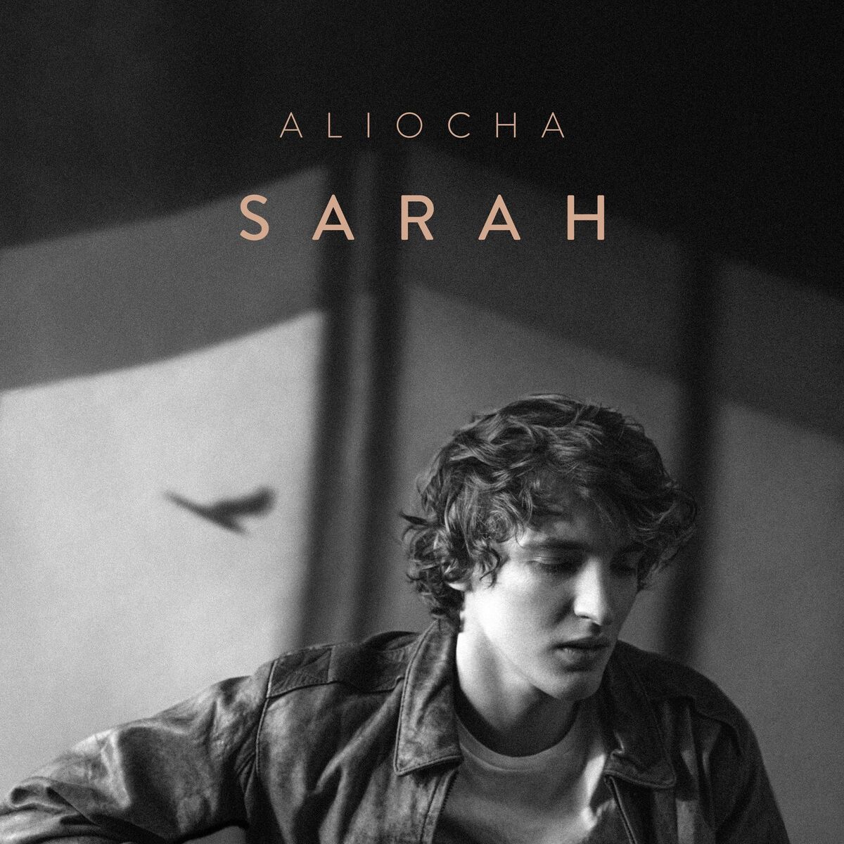 Album cover of Sarah