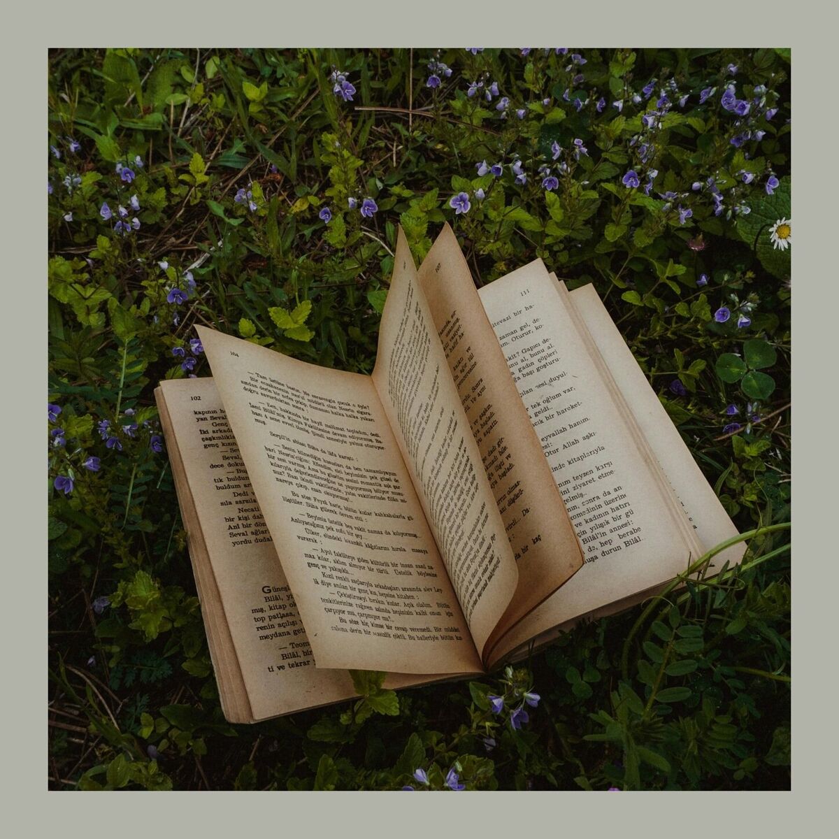 Album cover of Old Book