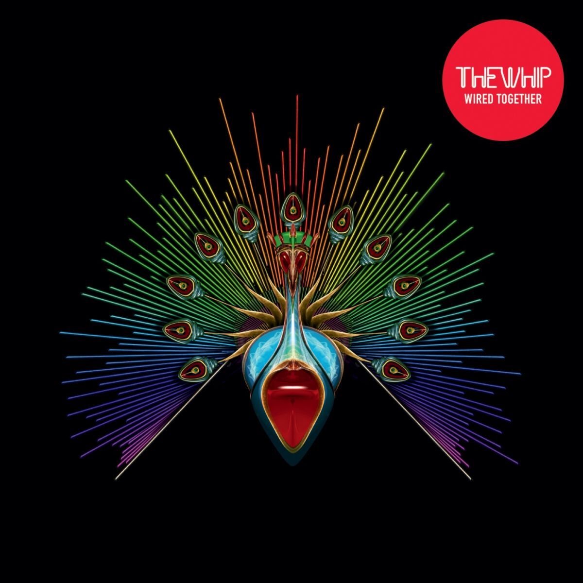 Album cover of Shake