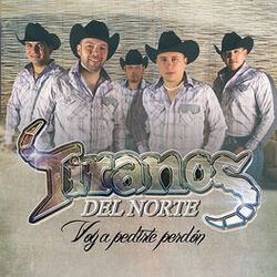 Cover of Voy A Pedirte Perdón