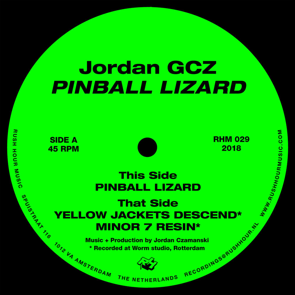 Picture of Pinball Lizard