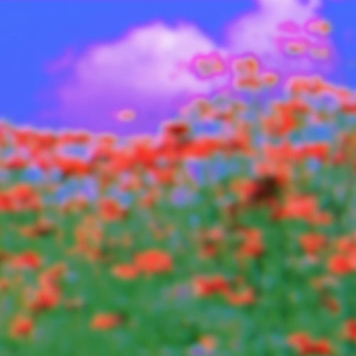 Hashflowers artwork