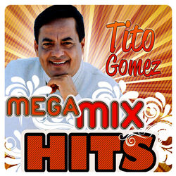 Cover of Mega MixHits