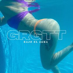 Cover of Bajo el agua