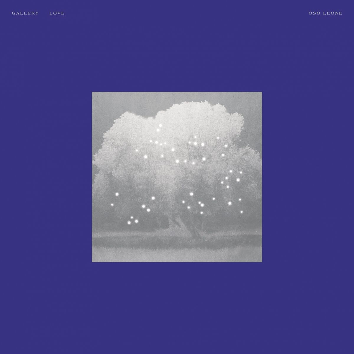 Album cover of Gallery Love