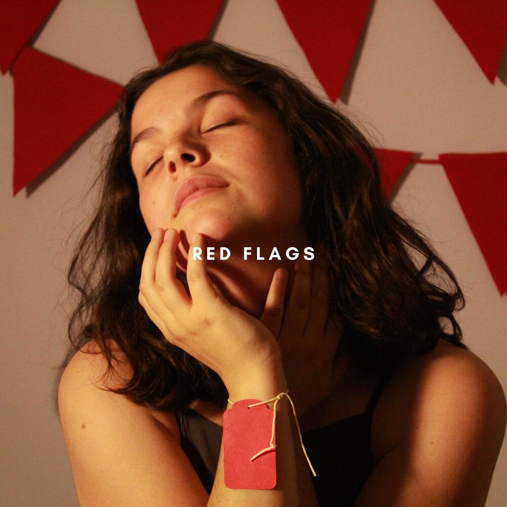Picture of Red Flags