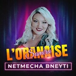 NETMECHA BNEYTI