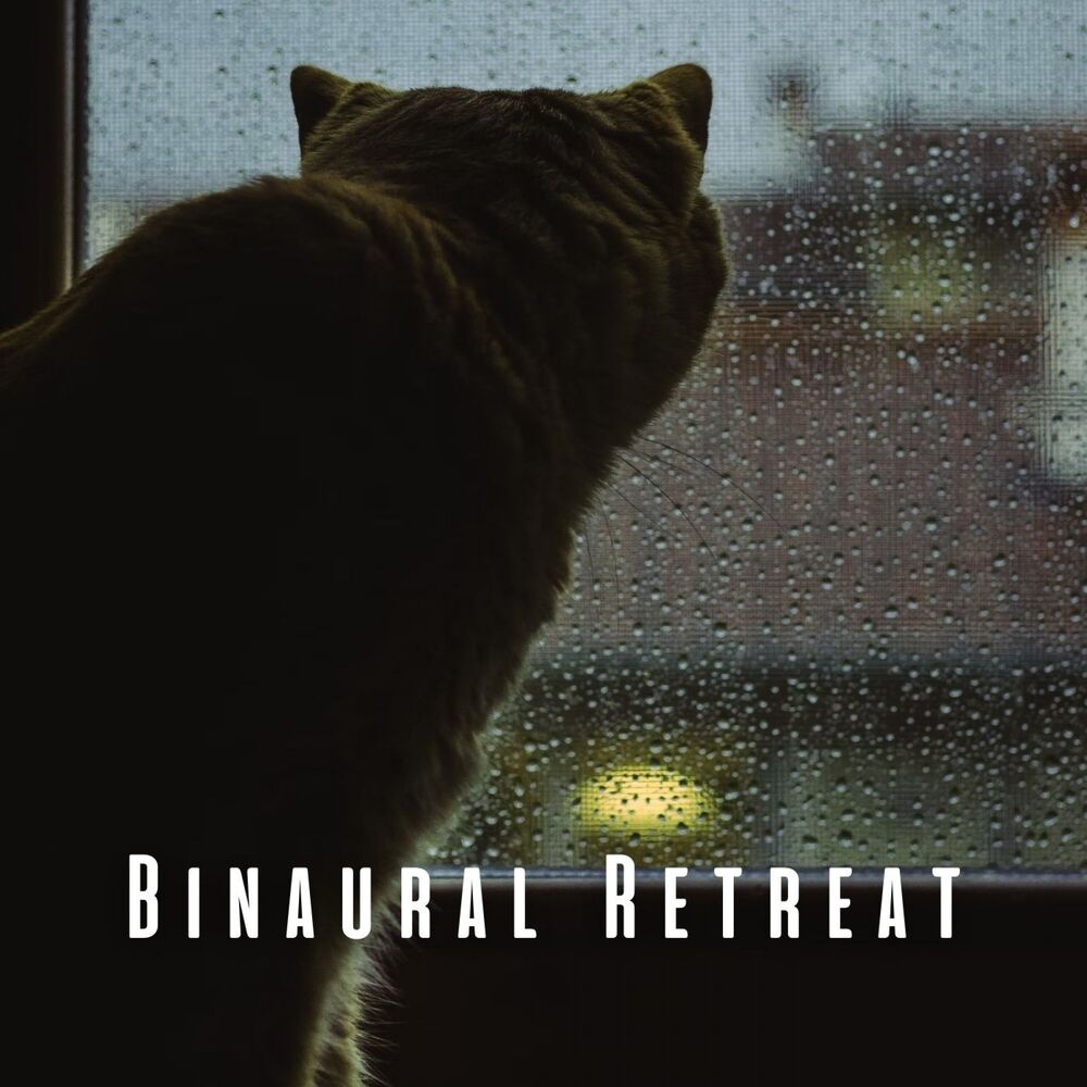 Picture of Binaural Retreat: Comforting Rain Sounds for Blissful Cats