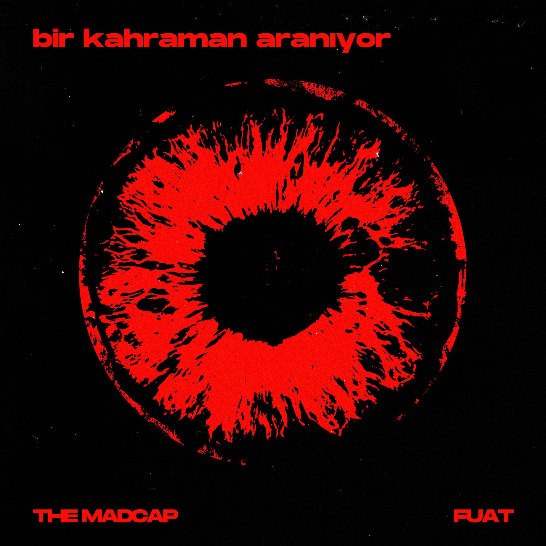 Album cover of Bir Kahraman Aranıyor