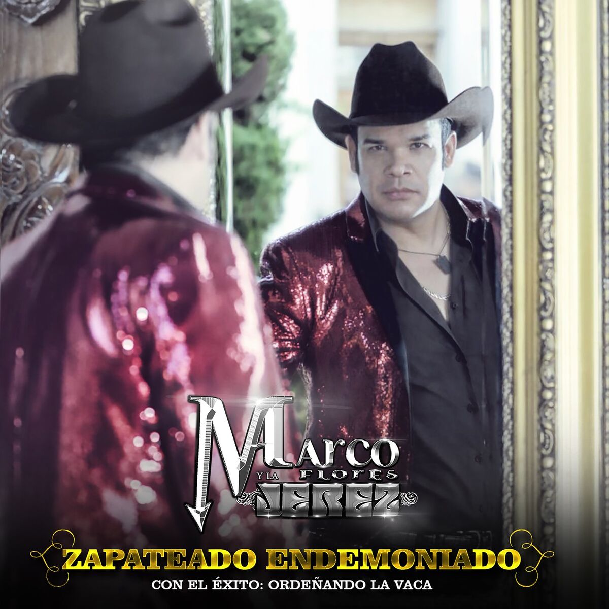 Album cover of Zapateado Endemoniado