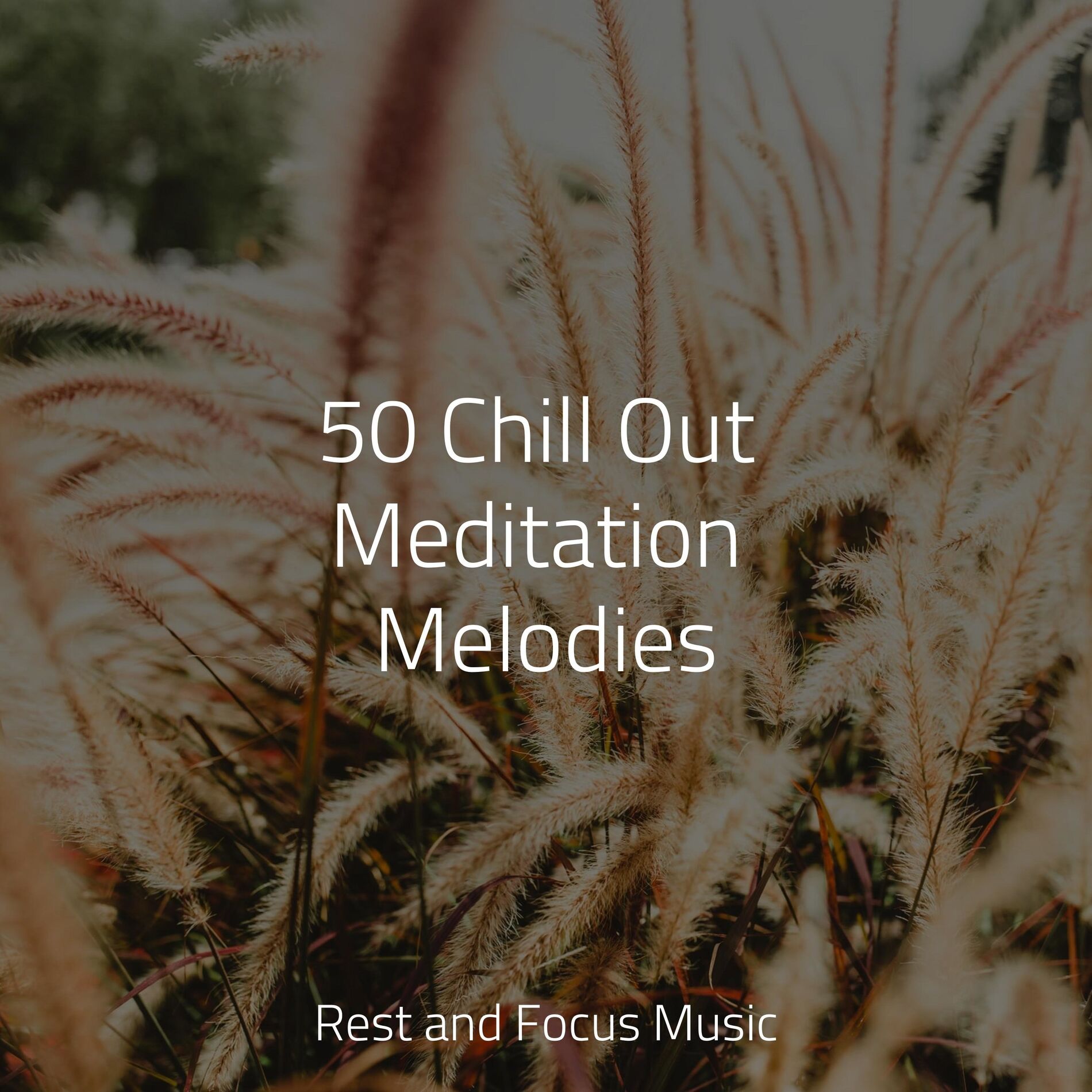 Album cover of 50 Chill Out Meditation Melodies