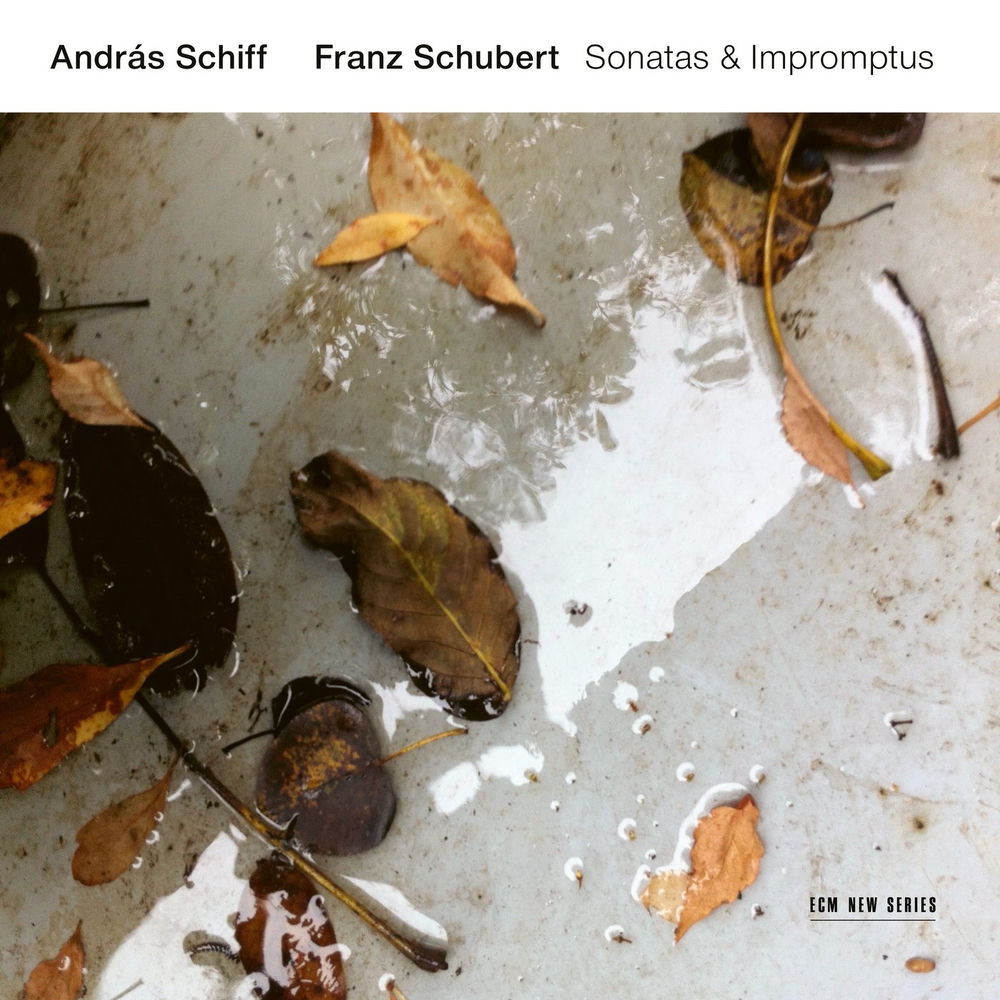 Schubert: Piano Sonatas D. 958 & D. 959; Impromptus, D. 899