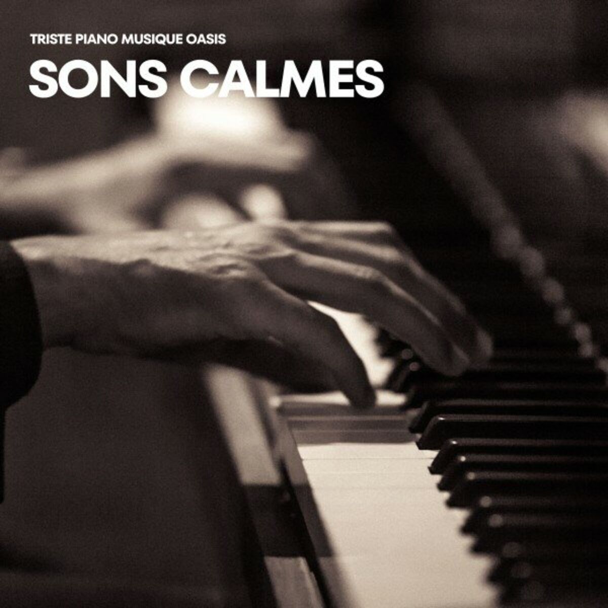 Album cover of Sons Calmes: Piano Méditation