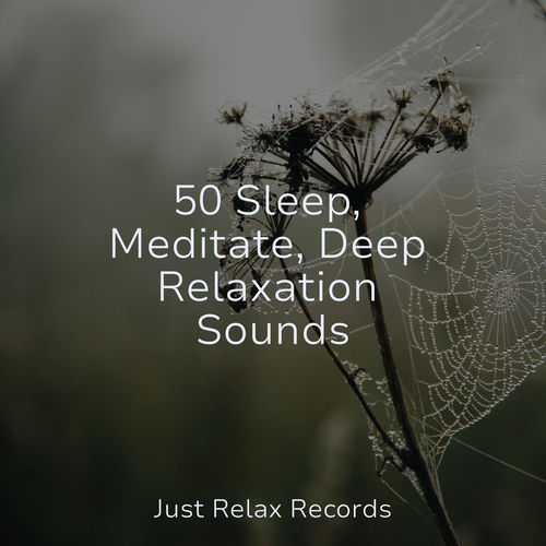 50 Sleep, Meditate, Deep Relaxation Sounds